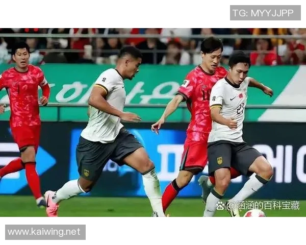 全球球迷热议足球世界杯预选赛各队表现与晋级形势分析